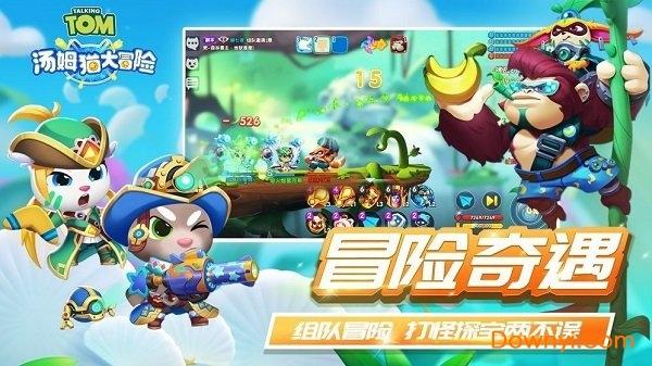 蜂王救援